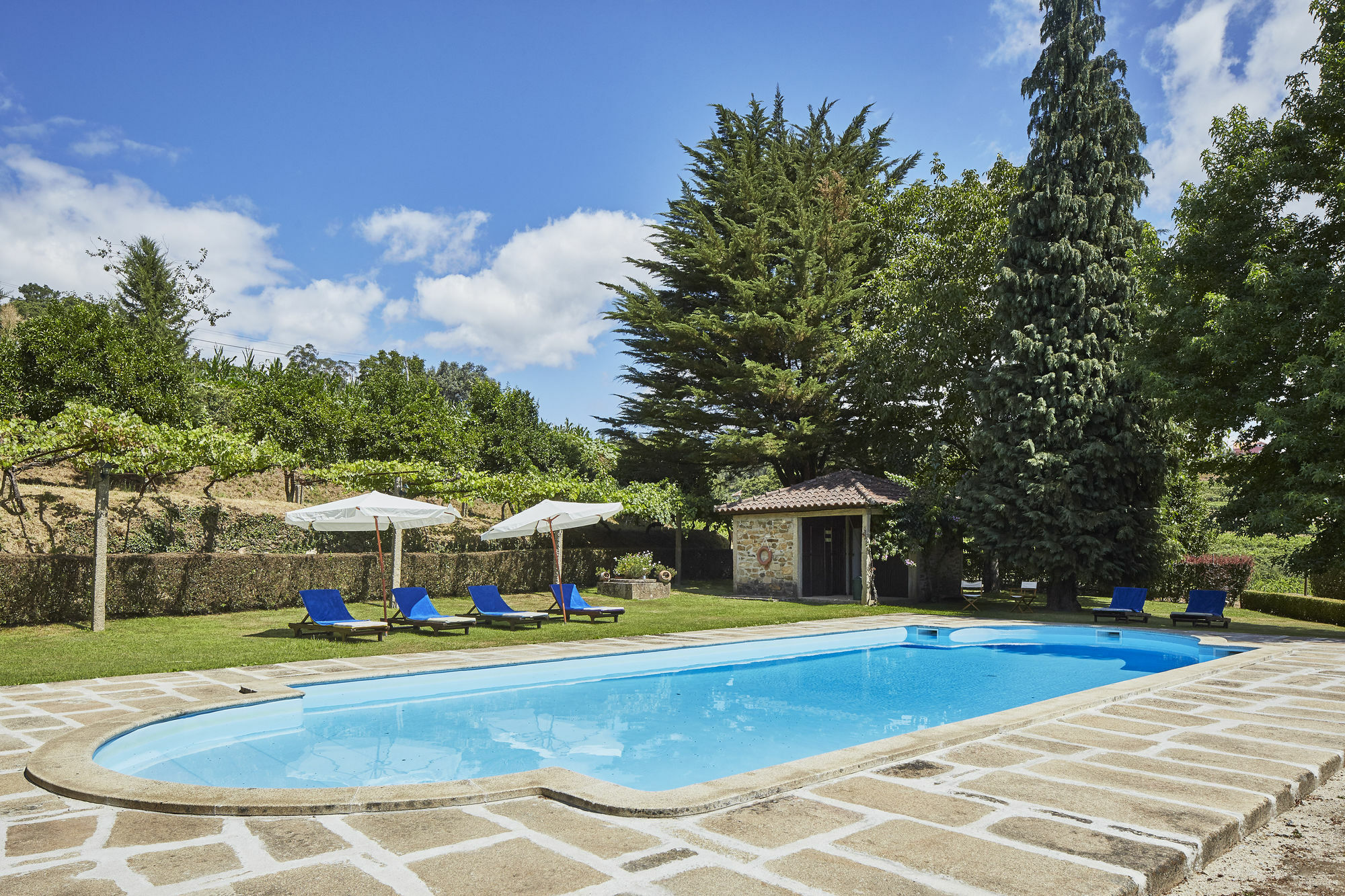 Casa De Canedo Celorico De Basto Luaran gambar